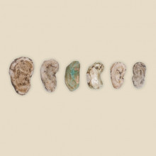 foundation deposit (ears)