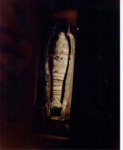 Coffin with mummy inside